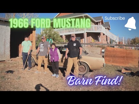 Amazing Barn Find/1966 Ford Mustang