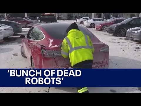 Dead Teslas pack Chicago area Supercharger station due to frigid temps