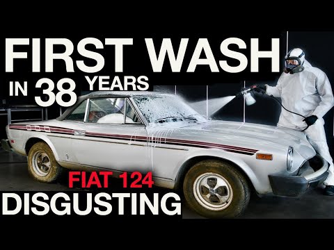 First Wash in 38 Years: Abandoned Fiat 124 Disgusting Biohazard Detail!