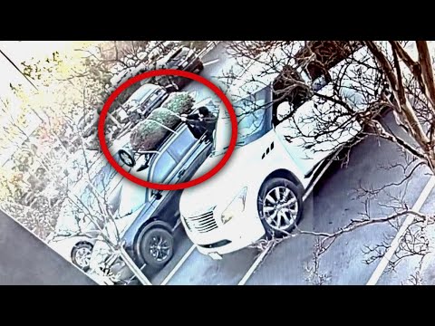 Suspects steal Christmas tree California car