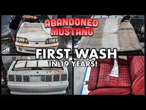 Abandoned BARN FIND Ford Mustang | First Wash In 19 Years | Car Detailing Restoration How To!